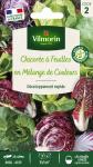 Potagères - Chicorée à Feuilles en mélange - face recto